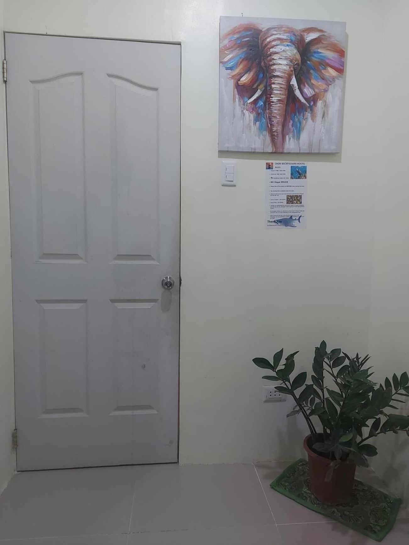 Cheri Backpackers Hostel Moalboal Exterior photo